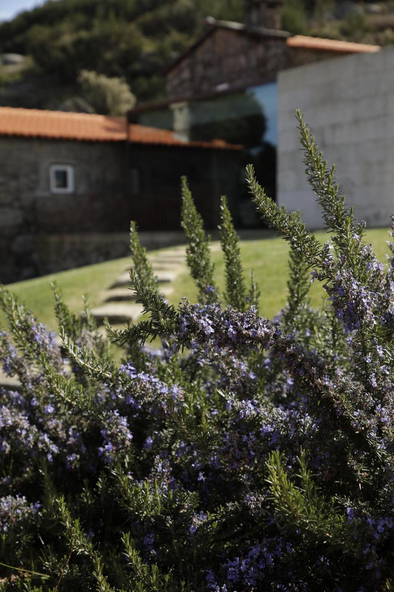 Geres - Leiras Do Tempo - Cottages Brufe エクステリア 写真